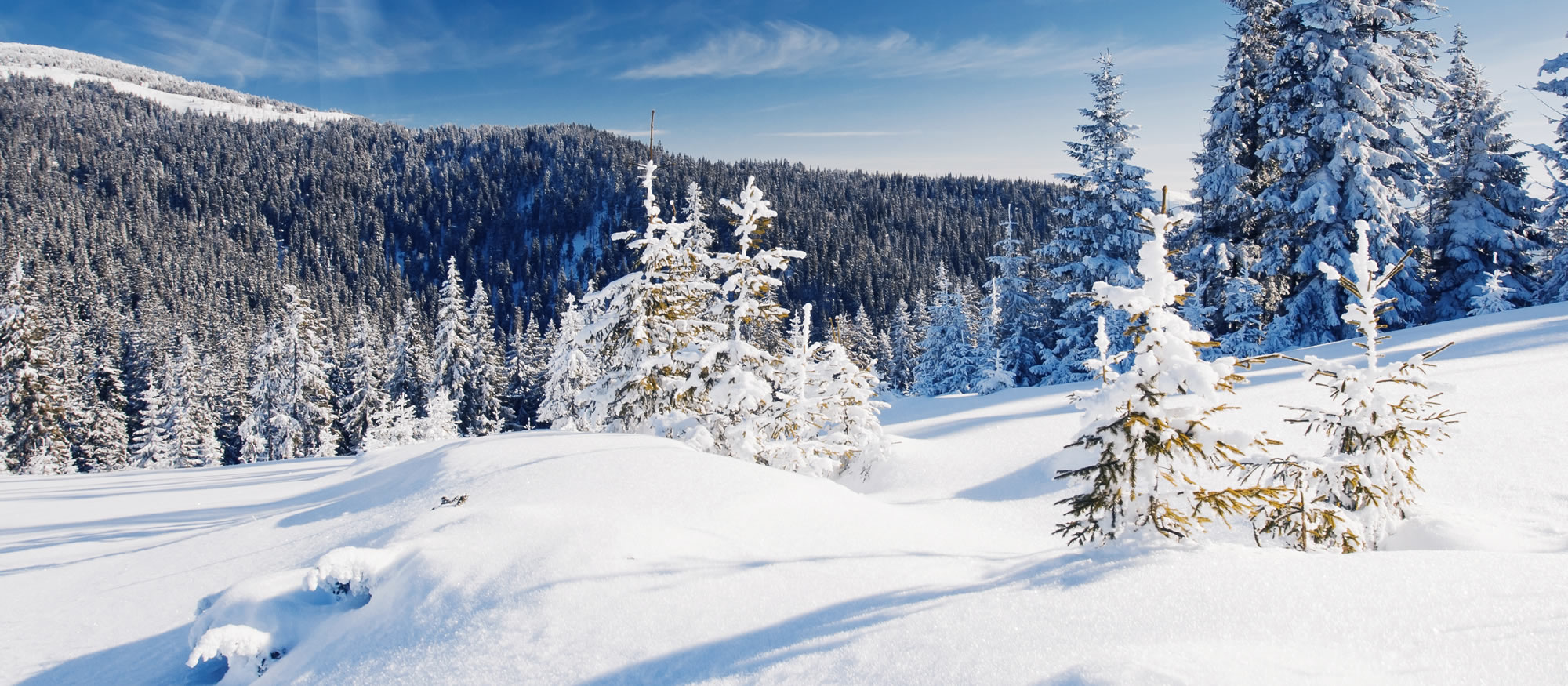 Winterlandschaft in Österreich