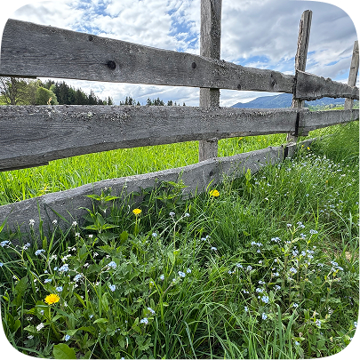 Das Hotel Pariente im Sommer